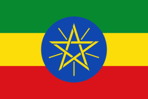 2000px Flag of Ethiopia.svg e1609859179391