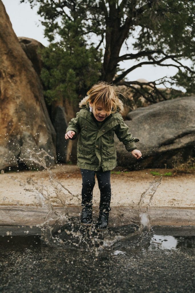 2022: our year in review 3 nathan dumlao eUbNeGQEh2U unsplash